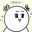 아테네 호텔 이미지