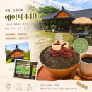 예이제448 | 대전 숲속 힐링 정원 흑임자빙수 생망고빙수 맛집_한옥카페 예이제448
