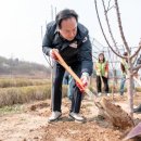 감사나무 이미지