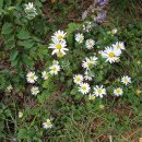 해가지는마을길 이미지