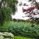 사슴이랑 배랑 농원 이미지