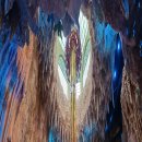 동산파크 이미지