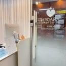 아나덴슈가링왁싱송파 | 임산부왁싱 전문 송파왁싱 아나덴 슈가링왁싱 송파역점 방문 후기