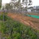 지앤지(G&G) 이미지