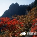 만추 - 달성군 테크노상업로4길 17-1 | 만추