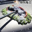 517 이미지