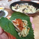 인생백순대