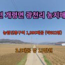혁신골드공인중개사사무소 이미지