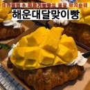 서현로180번길 | 해운대달맞이빵, 분당빵집 추천!! 세계적인 명인의 손맛