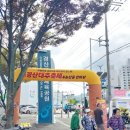 경산생활체육공원 | 경산 대추축제 첫째날 후기 공연 및 경품