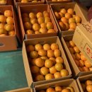 조곡천2길 이미지