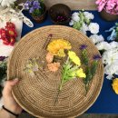 풀빵통신 | ChiangMai 5 Day - 2025 러이끄라통 CAD 축제