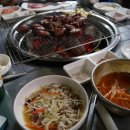 황소고집 이미지