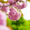 바람공원 화장실 이미지