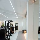 머슬 타임 이미지