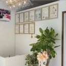 준메디케어 이미지