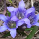 별님과달님 이미지