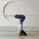창곡동요가 위례 아쉬탕가요가 추천