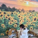 광장동새마을작은도서관 | 대구근처 아이랑 실내 가볼만한곳 &#39;구미새마을운동테마공원&#39; 실내놀이터 무료이용후기