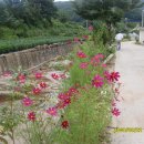 용화1리 마을회관 이미지