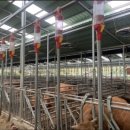 부부한우목장 이미지