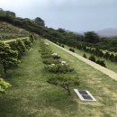 자연장지 이미지