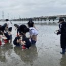 새솔고등학교 이미지