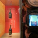 사조산업(주) 고성공장 | 칭다오 패키지 여행 1일차 후기｜칭다오 맥주박물관&amp;랑야고성 (바른투어 내돈내산)