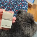 세린파즈 토이푸들 | 더후 골든립세린. 동안입술 안티에이징 필수템이랍니다