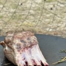 팔팔목장 이미지