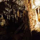 동굴왕족 이미지