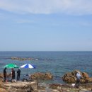 새골민박 이미지