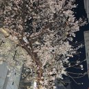 번창회수산 이미지