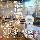 혼수 세라믹 식탁 투어 (2) 판교 우디크, 리빙파워센터 지아띠, 소낭구, 브릭나인, 몽키우드, 노블디어