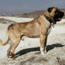 리언농장 이미지