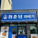 청춘당 | 제주도 꽈배기맛집 청춘당찹쌀꽈배기 내돈내산 포장후기