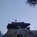 김박사집 이미지