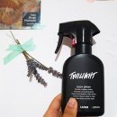 시실리아일랜드 이미지