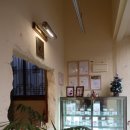 구떼포유 이미지