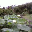 은하수펜션 이미지