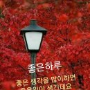 2023.11.24.금요일양방 (출부)♤겨울철 무우먹는법♤ 이미지