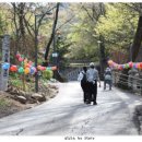 관음사 가는길 이미지