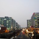 디지털 벨리로 티스토리