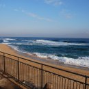 정동진역 이미지