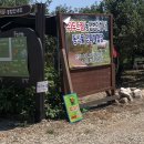 순이농장 | 포항 두드림농장 후기 | 동물체험과 물놀이를 함께! I 포항 아이랑 가볼만한곳, 6살·3살 조카와...