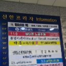 워너비독 이미지