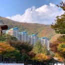 포시즌당구장 이미지