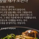 오혜숙 생활단식(세종 깨끗해짐 지사)