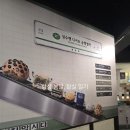 올리브 | 잠실 성수르 치아바타 팝업 쌀알올리브 내돈내산 후기