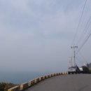 미조도심지 Daum카페